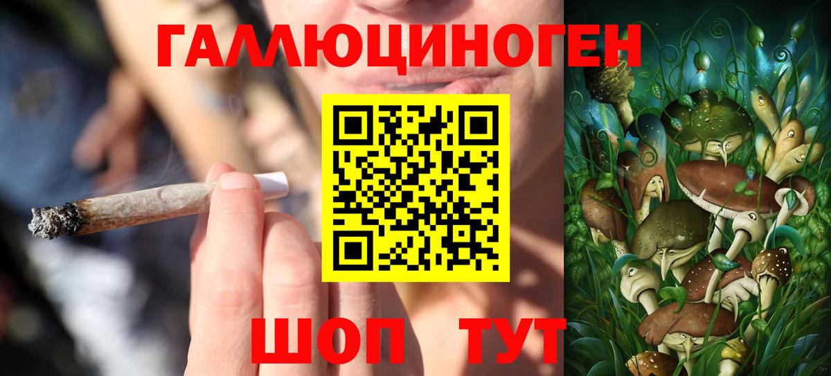 Псилоцибиновые грибы GOLDEN TEACHER Соликамск